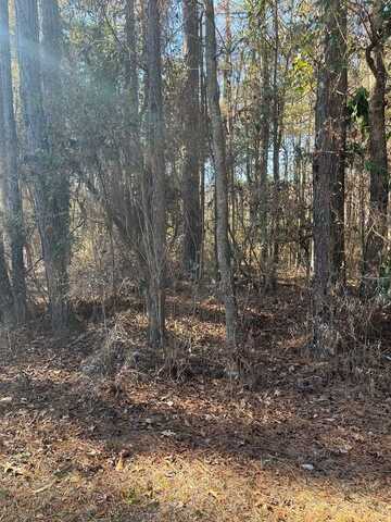 0 0 Drayton Loop, Vienna, GA 31092