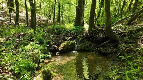 TBD (Lot 5) Heather Lane, Mena, AR 71953