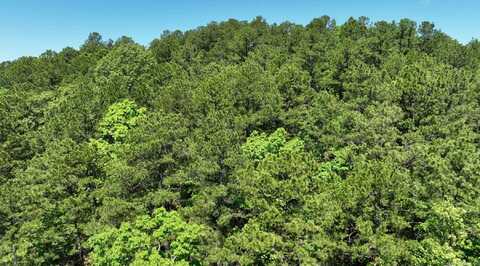 TBD (Lot10) Heather Lane, Mena, AR 71953