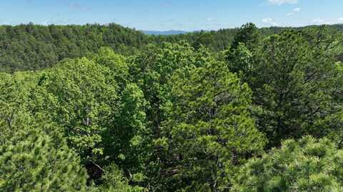 TBD (Lot 12) Heather Lane, Mena, AR 71953