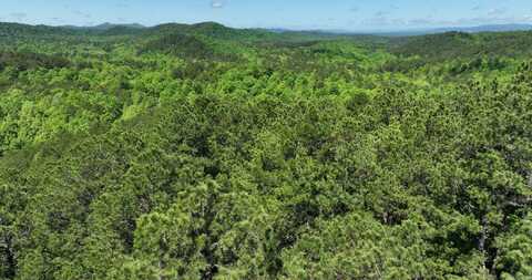 TBD (Lot 11) Heather Lane, Mena, AR 71953