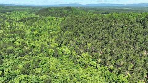 TBD (Lot 1) Heather Lane, Mena, AR 71953