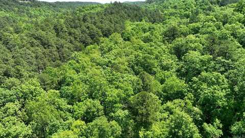 TBD (Lot 8) Heather Lane, Mena, AR 71953