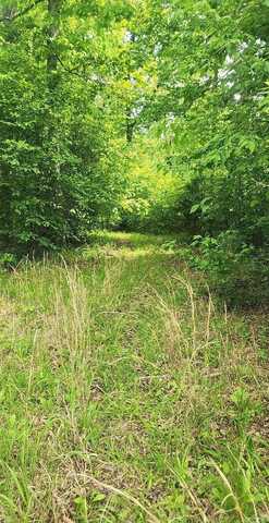 Tract 1 Kulp Road, Boles, AR 72926