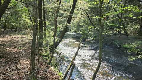 0 Old Holywater Road, Tracy City, TN 37387