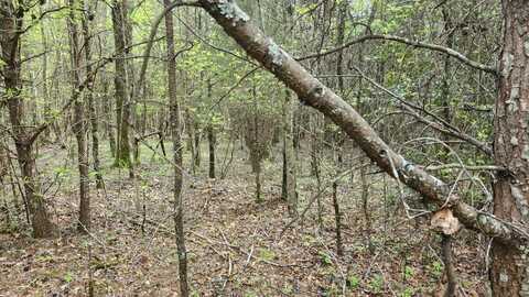 0 Old Holywater Road, Tracy City, TN 37387