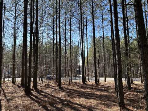 4210 Raulston Fls Road, South Pittsburg, TN 37380