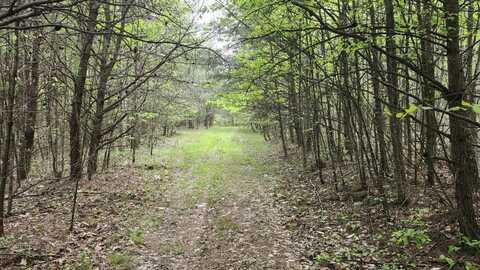 0 Old Holywater Road, Tracy City, TN 37387