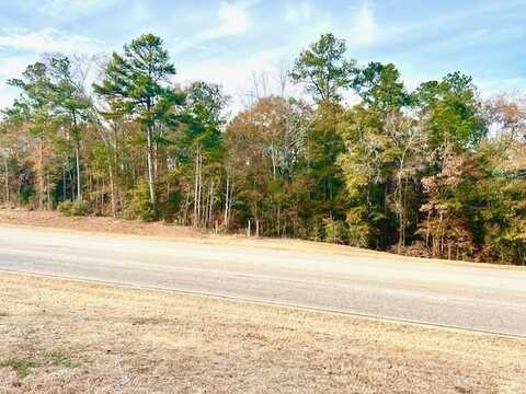 00 MLK Expressway, Andalusia, AL 36420