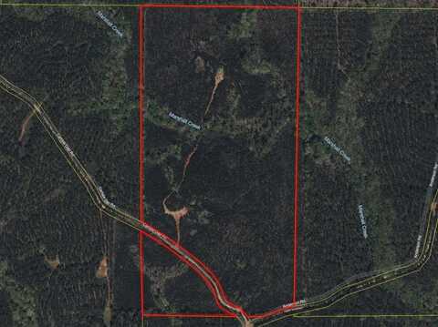 CARLISLE ROAD, WOODLAND, GA 31836