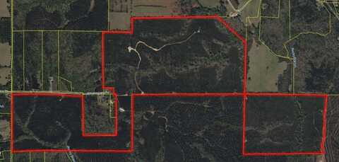 770 WILLIAMS AVENUE, SHILOH, GA 31826
