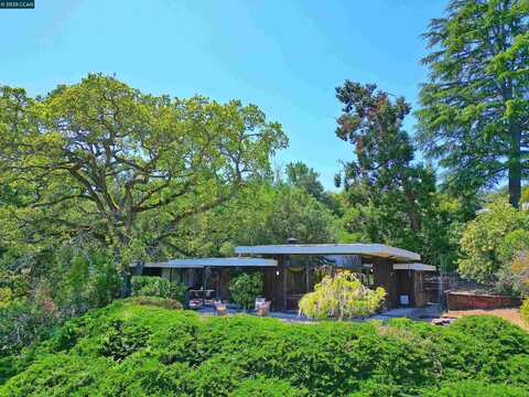 58 Terrace Road, Walnut Creek, CA 94597