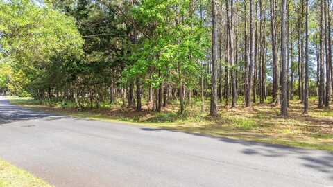 8 Collins Meadow Dr., Georgetown, SC 29440