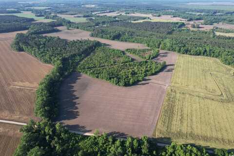 82.3 Acres- Tomlinson Rd., Olanta, SC 29114