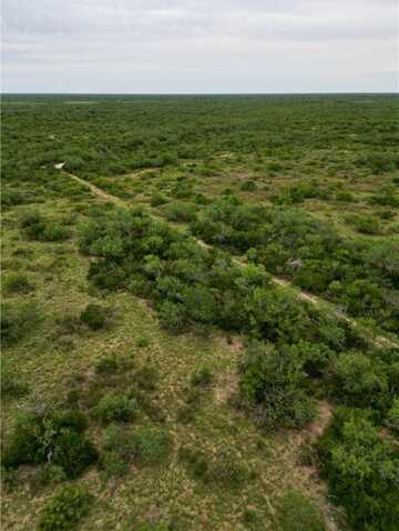 0 Co Rd. 314, Falfurrias, TX 78355