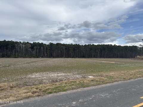 Tbd Florence Road, Merritt, NC 28556