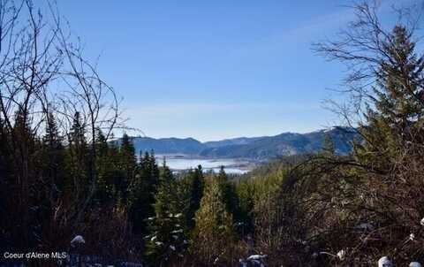 Nka S Eagle Peak, Cataldo, ID 83810