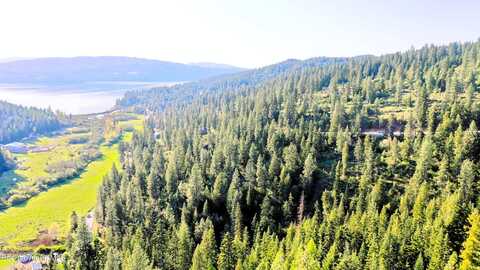 Nka Deer Rd, Harrison, ID 83833