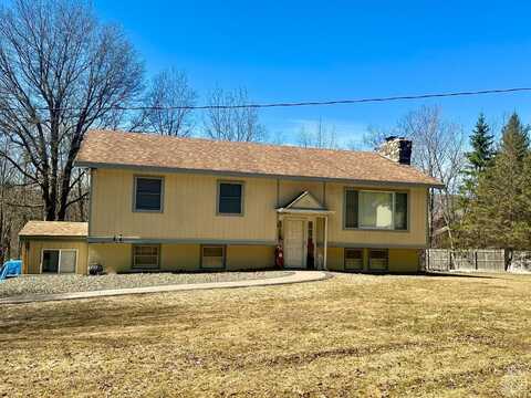 317 County 21 Road, Windham, NY 12496