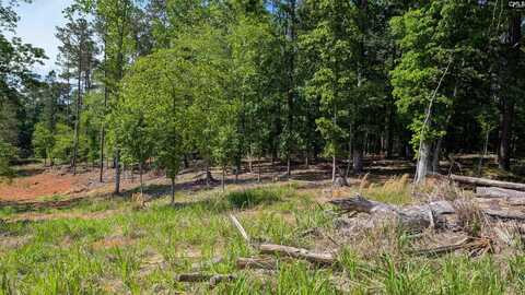 TBD Rolling Hills Rd, Ridgeway, SC 29130