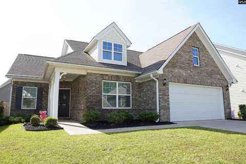 509 Malachite Lane, Chapin, SC 29036
