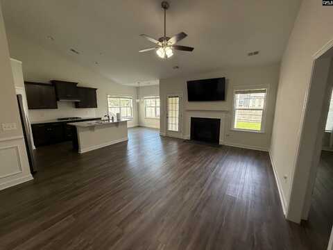 509 Malachite Lane, Chapin, SC 29036