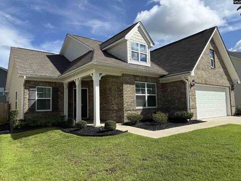 509 Malachite Lane, Chapin, SC 29036