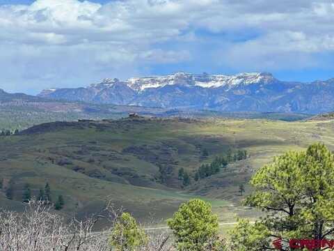 223 Spring Valley Ranch Road, Pagosa Springs, CO 81147