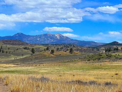 223 Spring Valley Ranch Road, Pagosa Springs, CO 81147