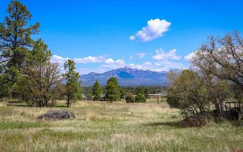 1362 Cool Pines Drive, Pagosa Springs, CO 81147