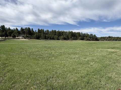 39266 Hwy 184, Mancos, CO 81328