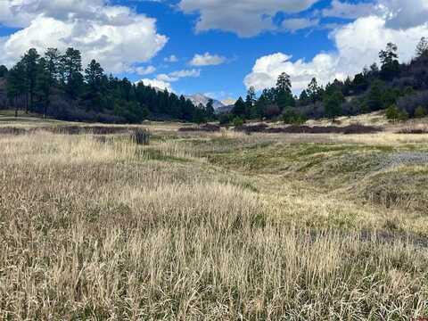 37 Dylan Drive, Pagosa Springs, CO 81147