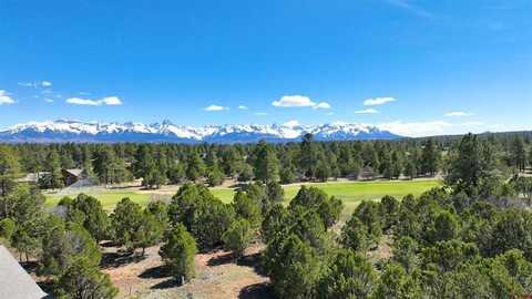 1627 Marmot Drive, Ridgway, CO 81432