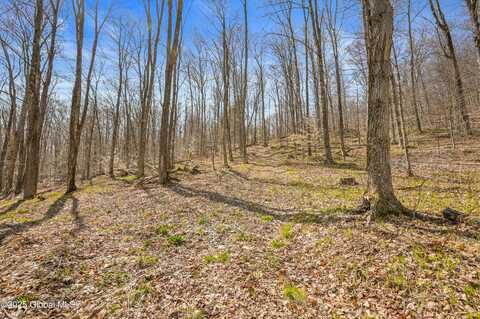 L9.113 Lutheranville Road, Summit, NY 12175