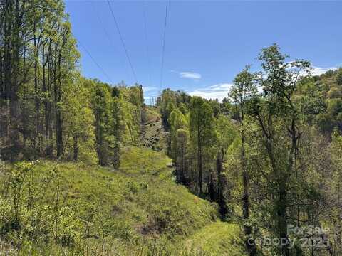 000 Relief Extension, Green Mountain, NC 28740