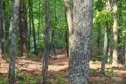55 Arbra Mountain Way, Bostic, NC 28018