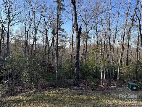 0 Turtle Ridge Trail, Mills River, NC 28759