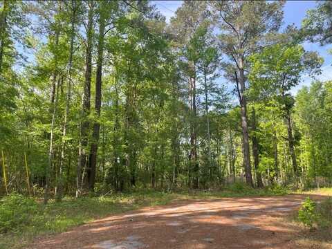 0 Robin Drive, Bamberg, SC 29003