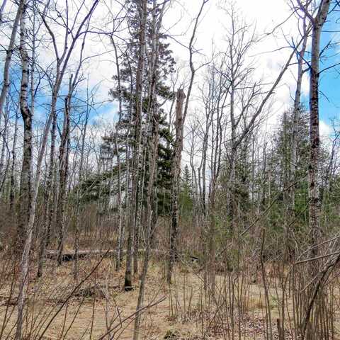 x48 Hansen-Hjemsted Rd, Lutsen, MN 55612