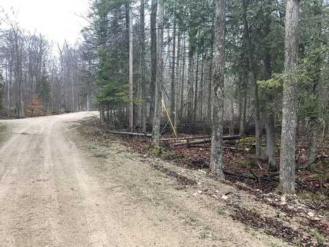 Tbd Bjarnarson Dr, Washington Island, WI 54246