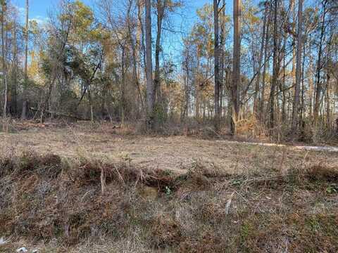 2.31+/- Hwy 97, Abbeville, AL 36310