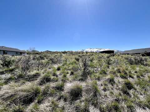 844 White Oak Drive, Spring Creek, NV 89815