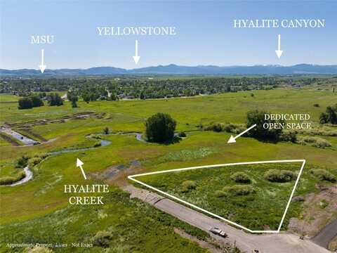 Lot 11 S Riparian Way, Bozeman, MT 59718