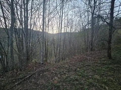 Lt 7 Tuts Terrace, Sylva, NC 28779