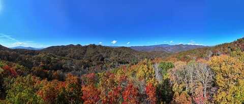 Black Forest, Bryson City, NC 28713
