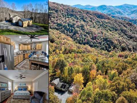1333 Pigeon Creek, Bryson City, NC 28713