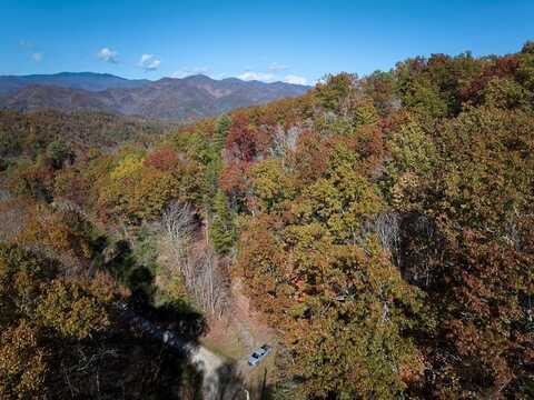 Black Forest, Bryson City, NC 28713