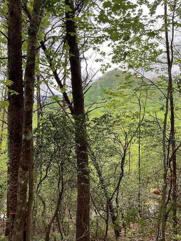 Big Creek Road, Otto, NC 28763