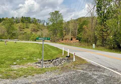 Lt 19 Amaryllis Trail, Cullowhee, NC 28723