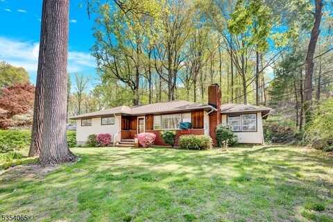 110 Redgate Rd W, Whippany, NJ 07005
